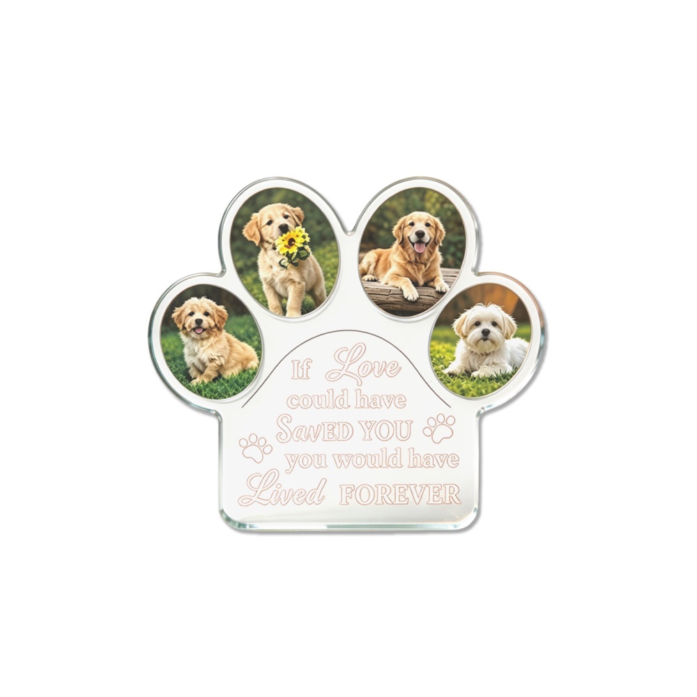 Photo Acrylic Block - 1 Pezzo Blocco Espositivo in Acrilico