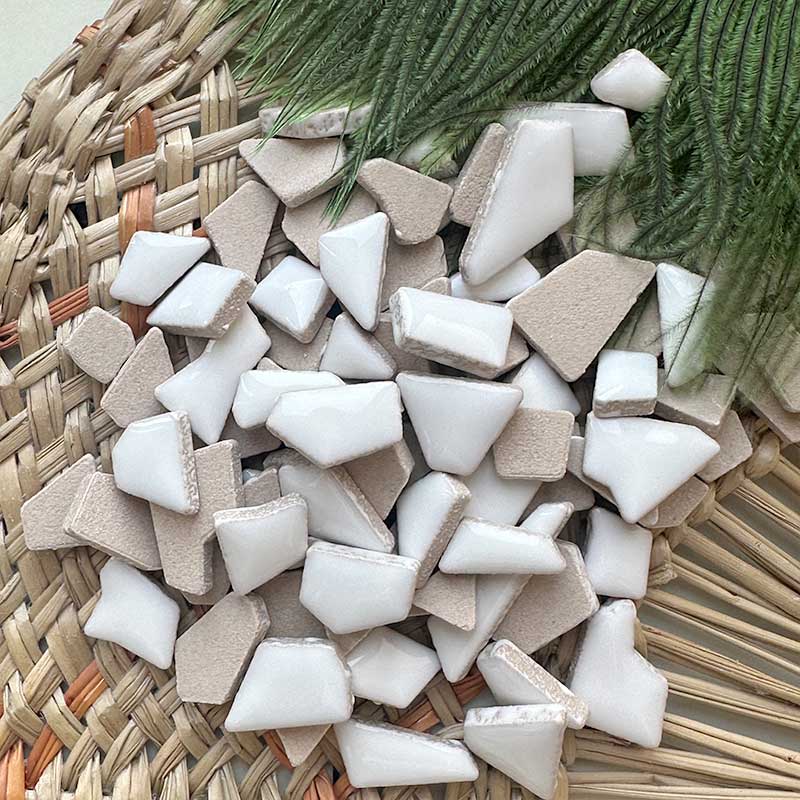 Piastrelle a mosaico in porcel - Ceramic Tile Blank recensione e prezzo