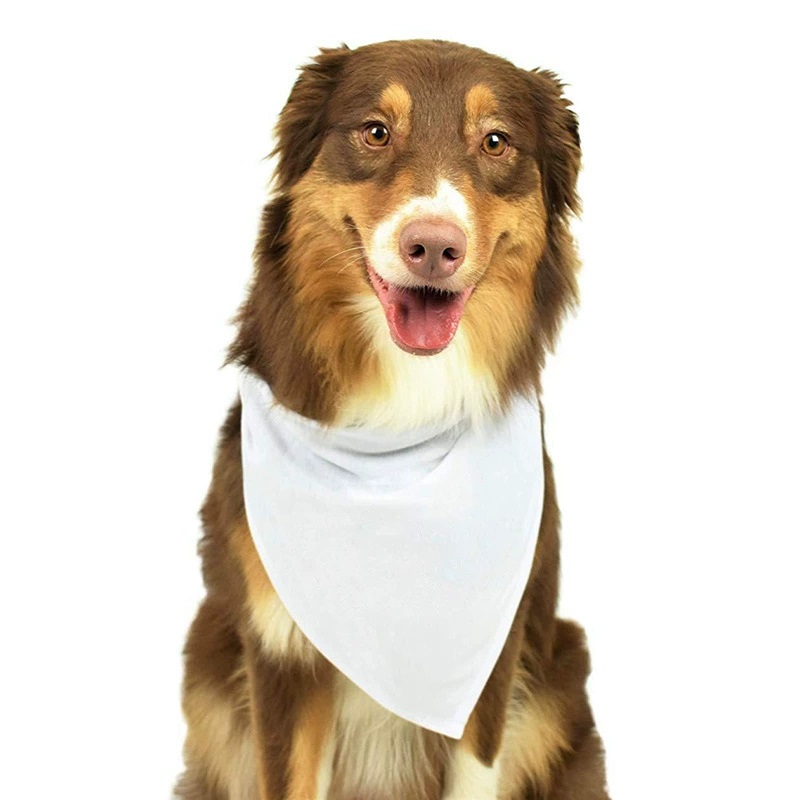 Bandane per cani bianche in po - Bandana Blank White recensione e prezzo