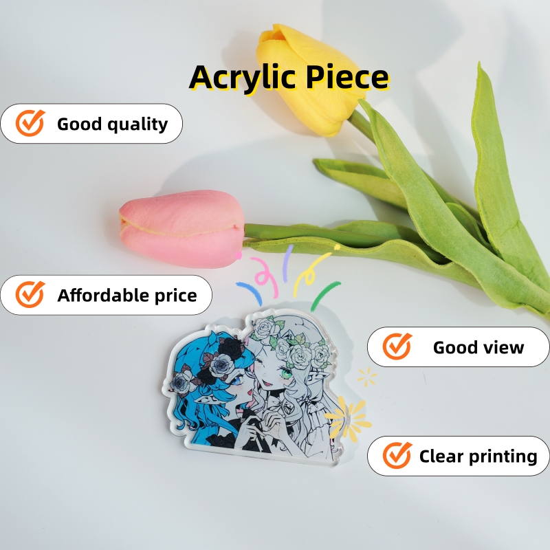 1 Blocco Acrilico Personalizza - Photo Acrylic Block recensione e prezzo